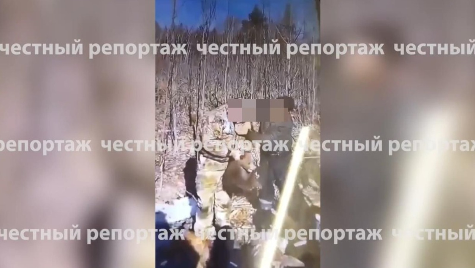 Честный репортаж, телеграм