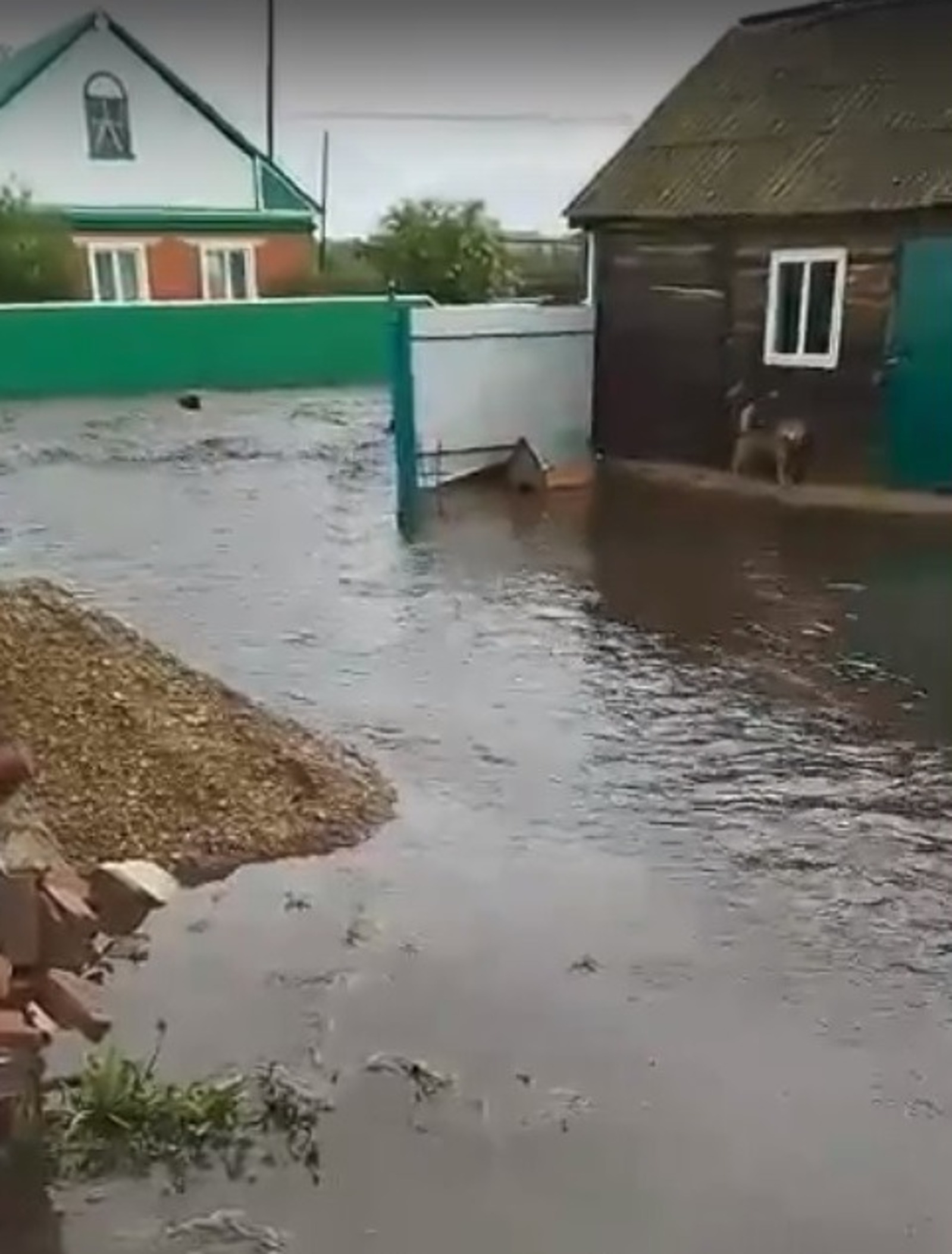 скриншот видео ВКонтакте