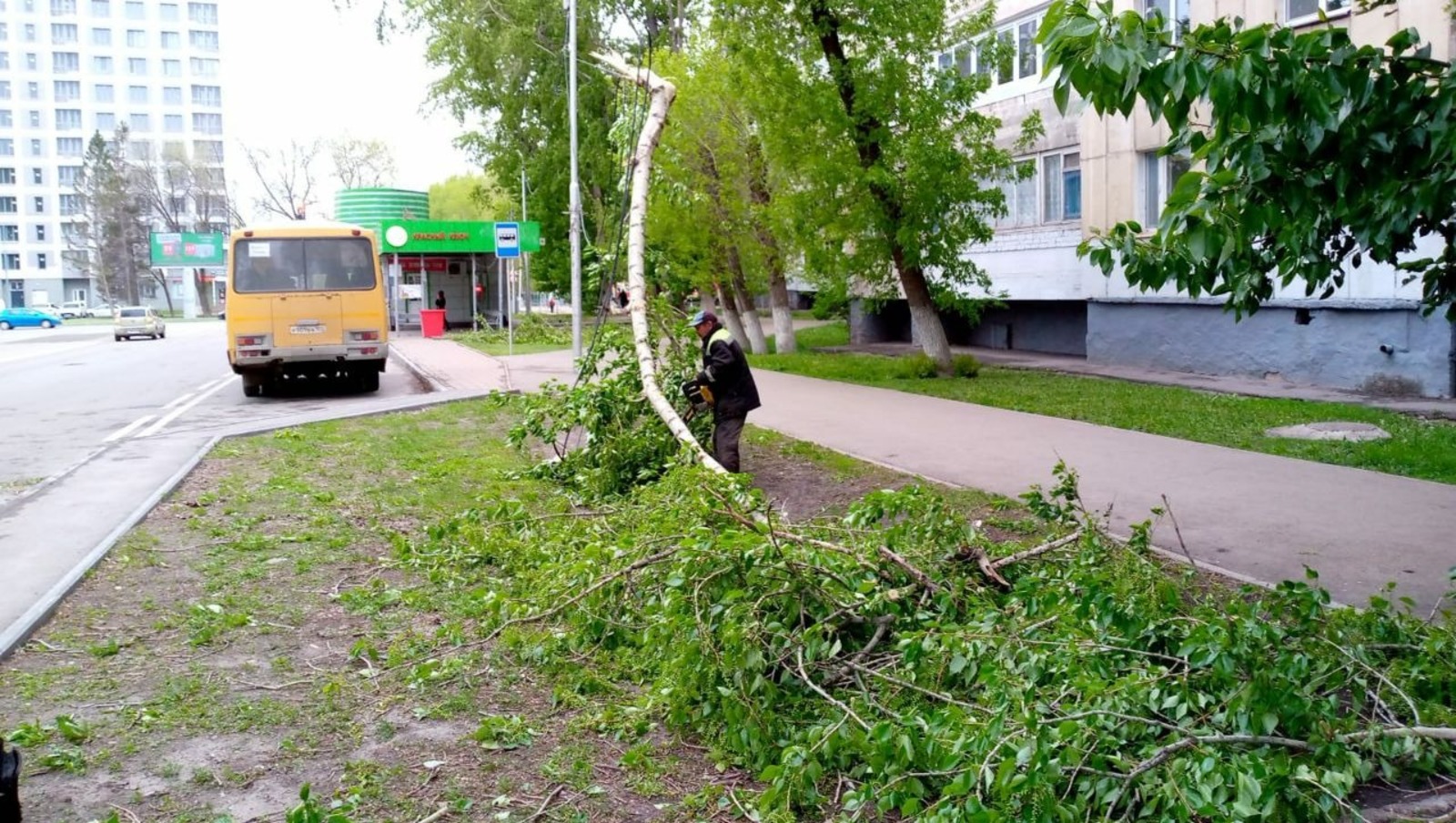 управление гражданской защиты Уфы