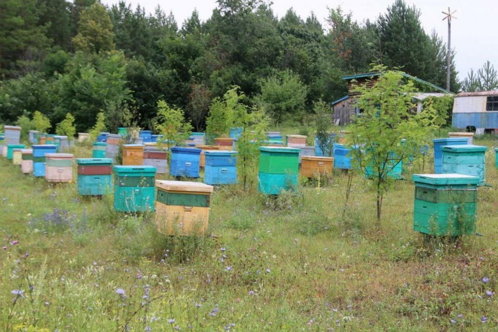 Башҡортостандың Ауыл хужалығы министрлығы