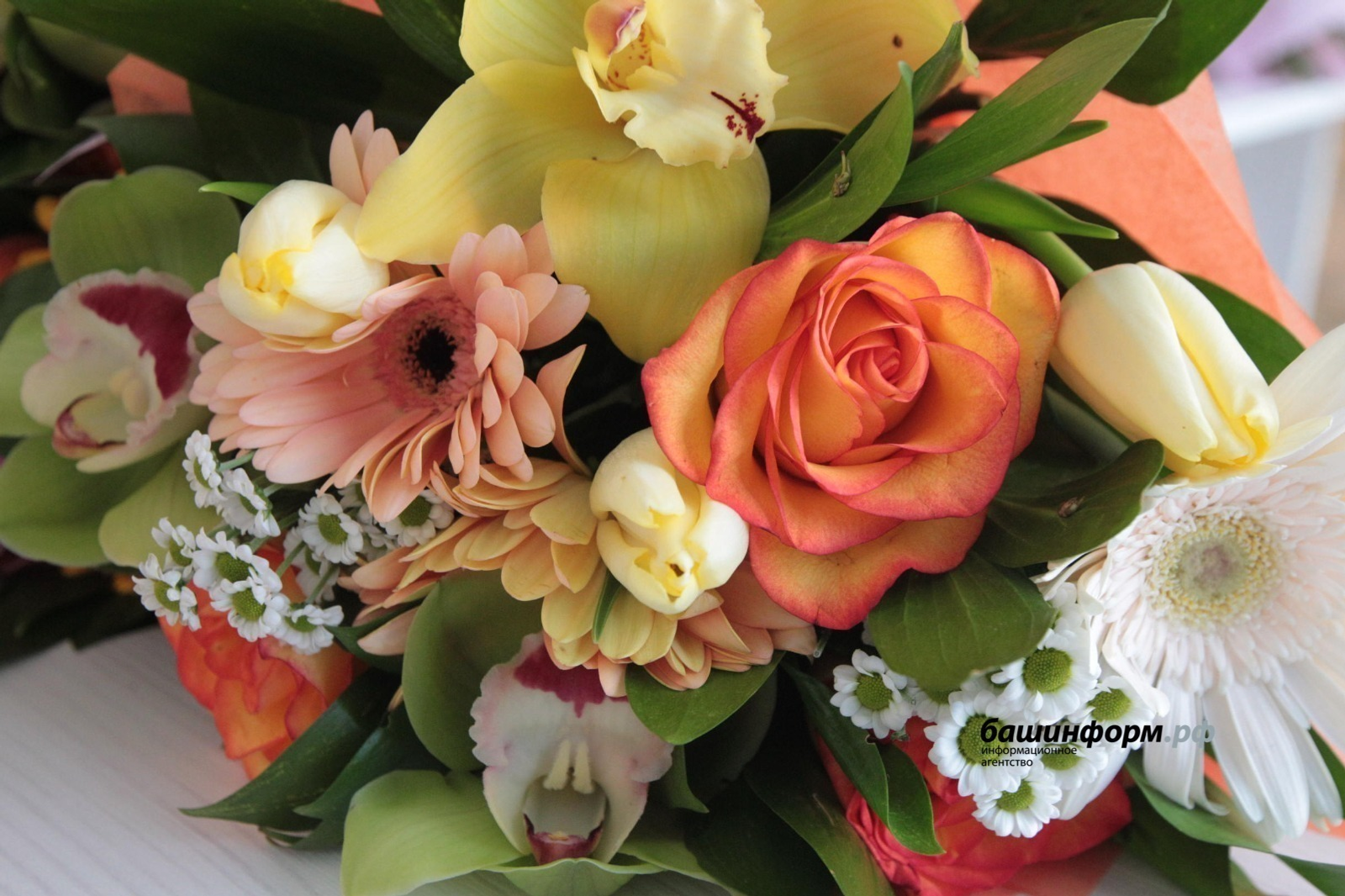 Олег Яровиков / «Башинформ» мәғлүмәт агентлығы