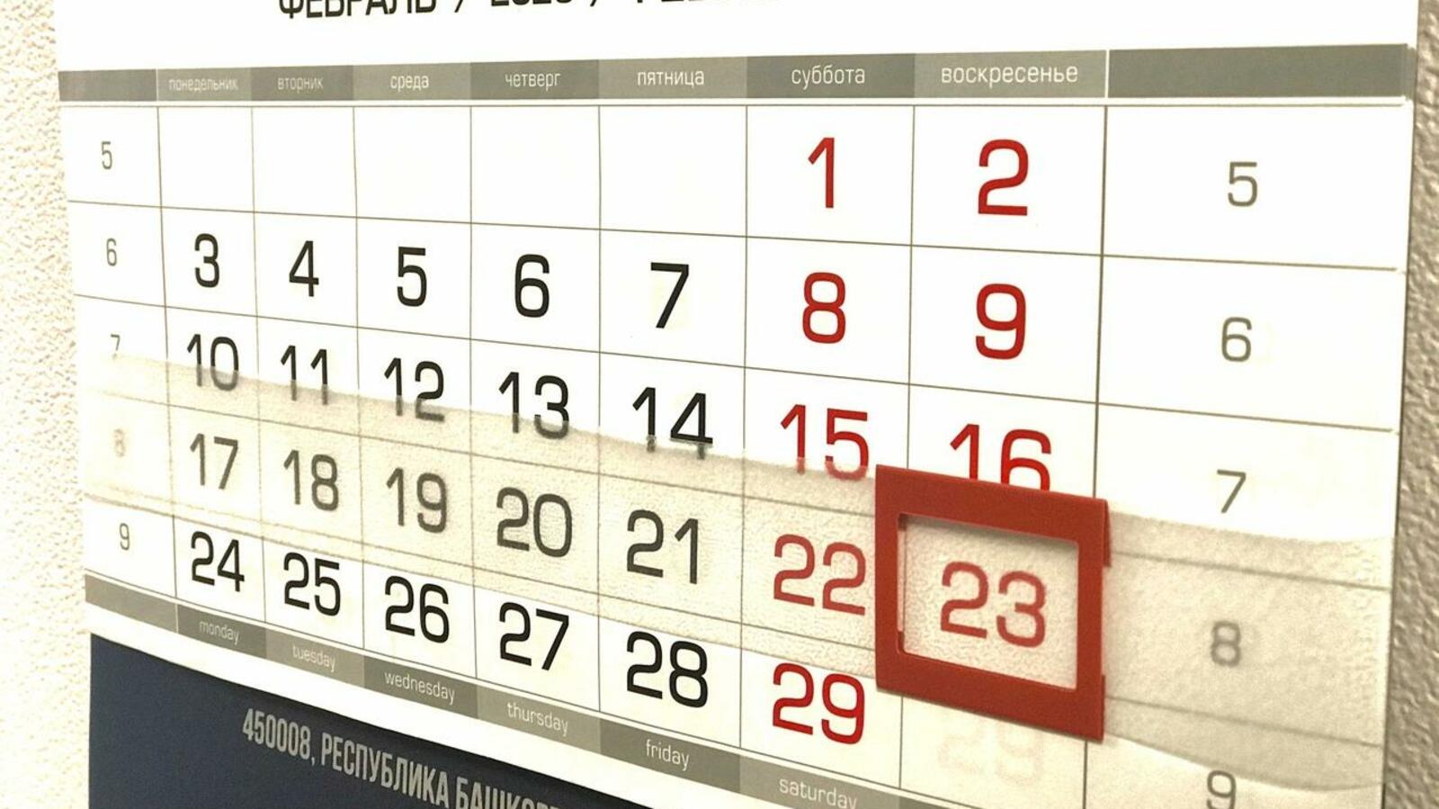 Ксения Калинина