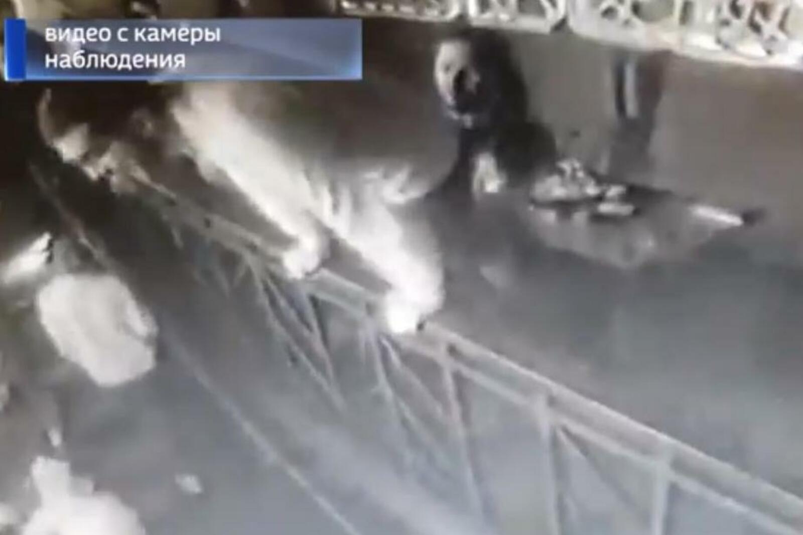 стоп-кадр видео ГТРК «Башкортостан»