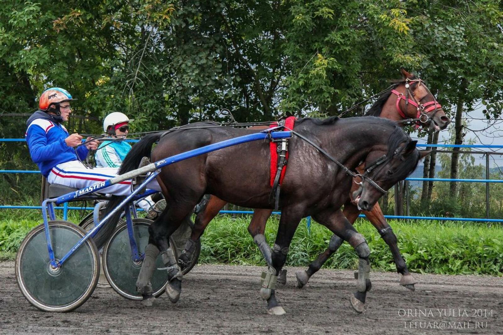 trotting.ru