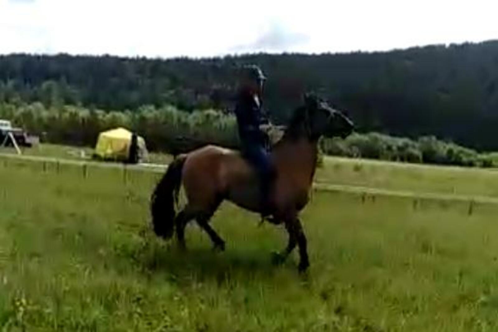скриншот с видео