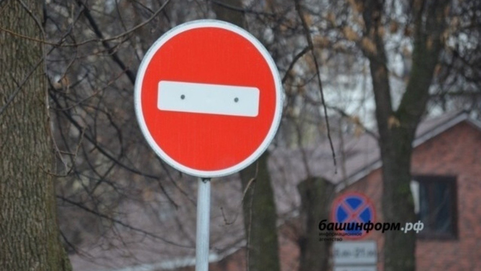 Ксения Калинина