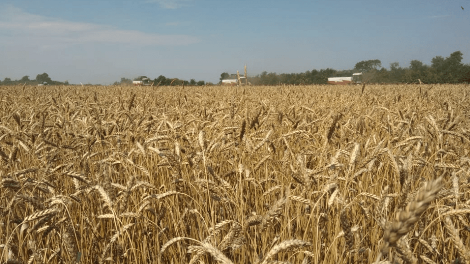 пресс-служба Минсельхоза Башкирии