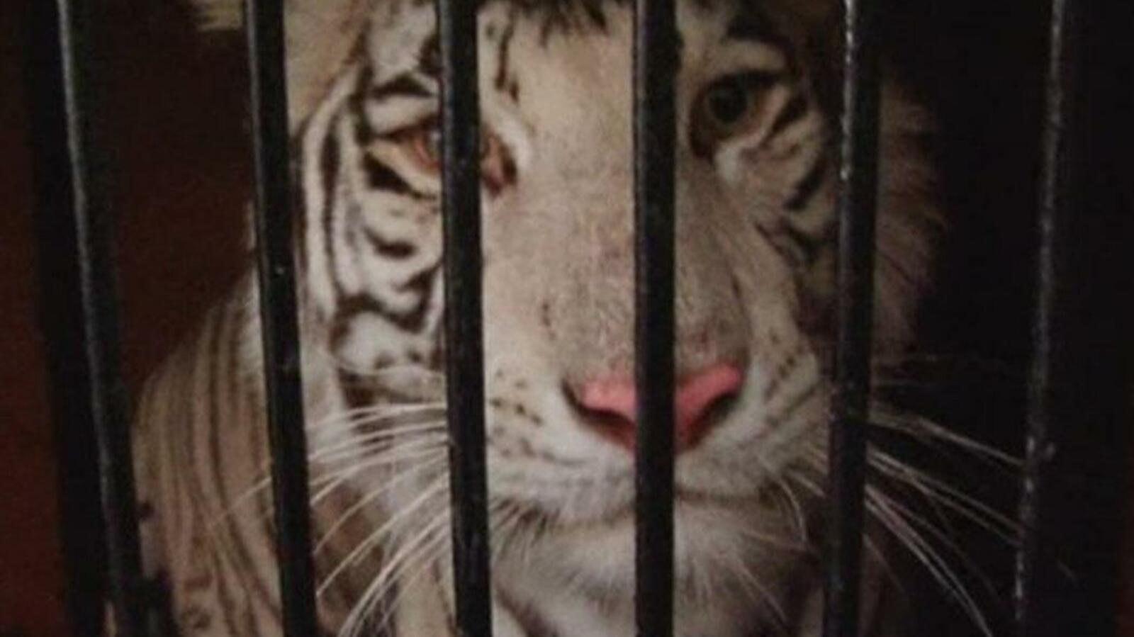 ГТРК «Башкортостан»