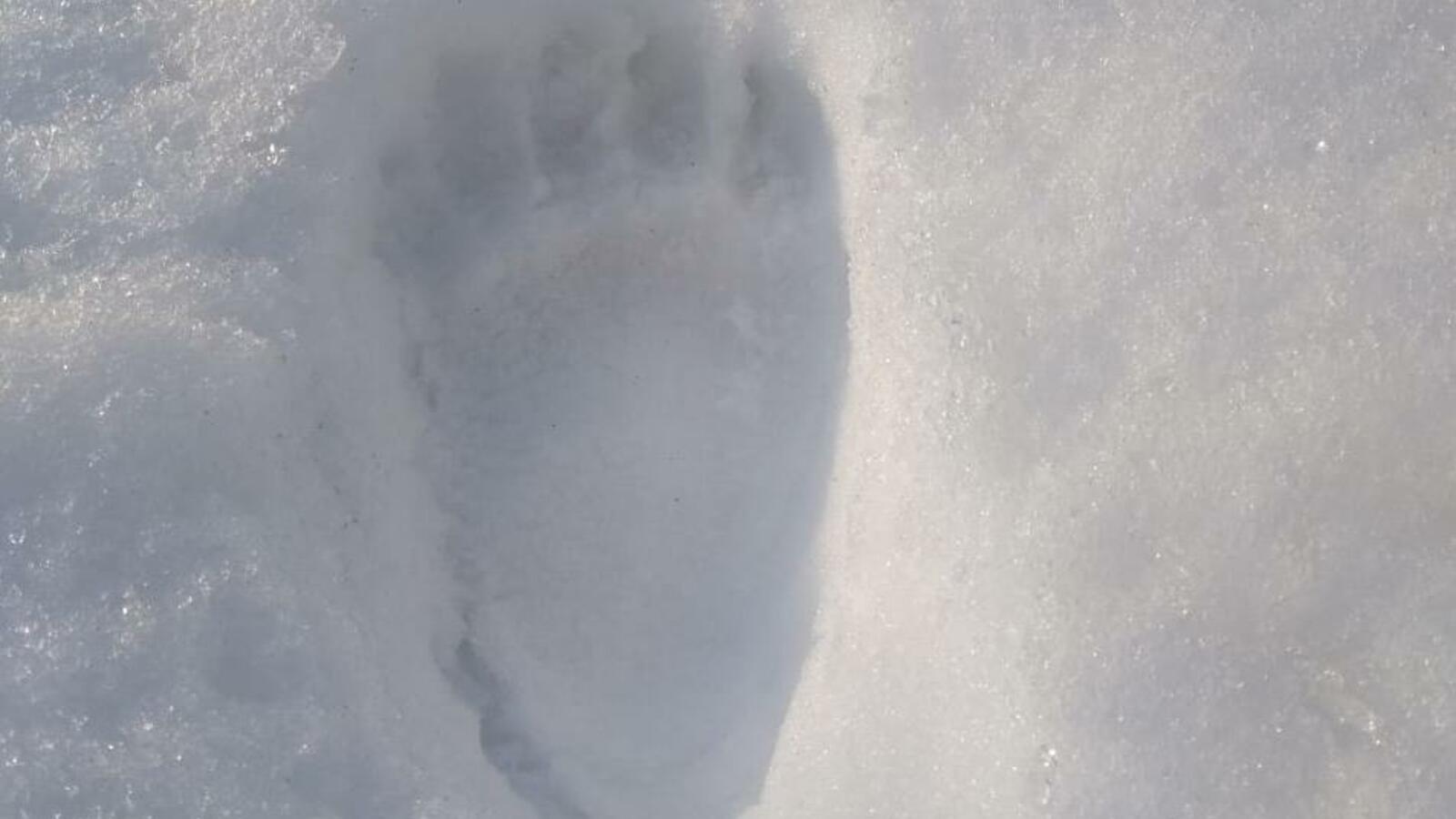 Дирекция по ООПТ