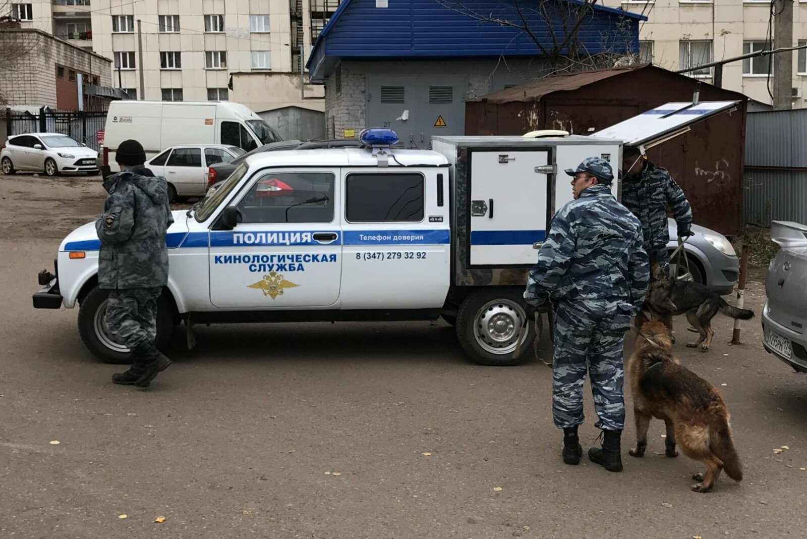 Ксения Калинина
