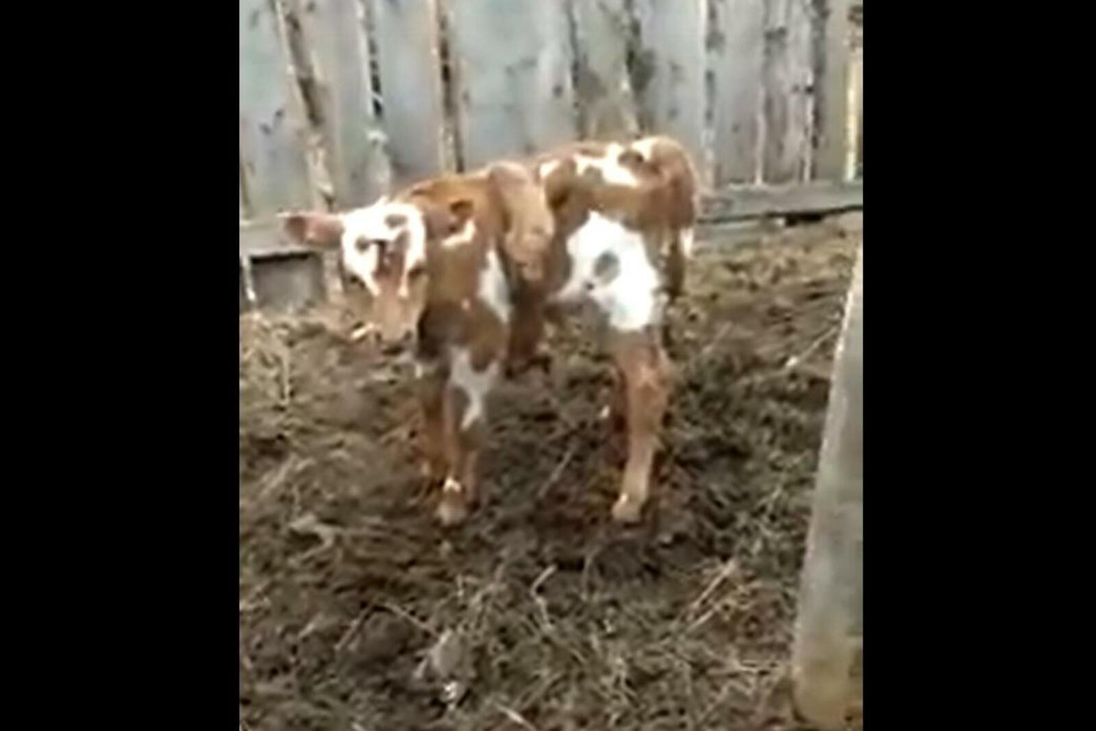 стоп-кадр видео