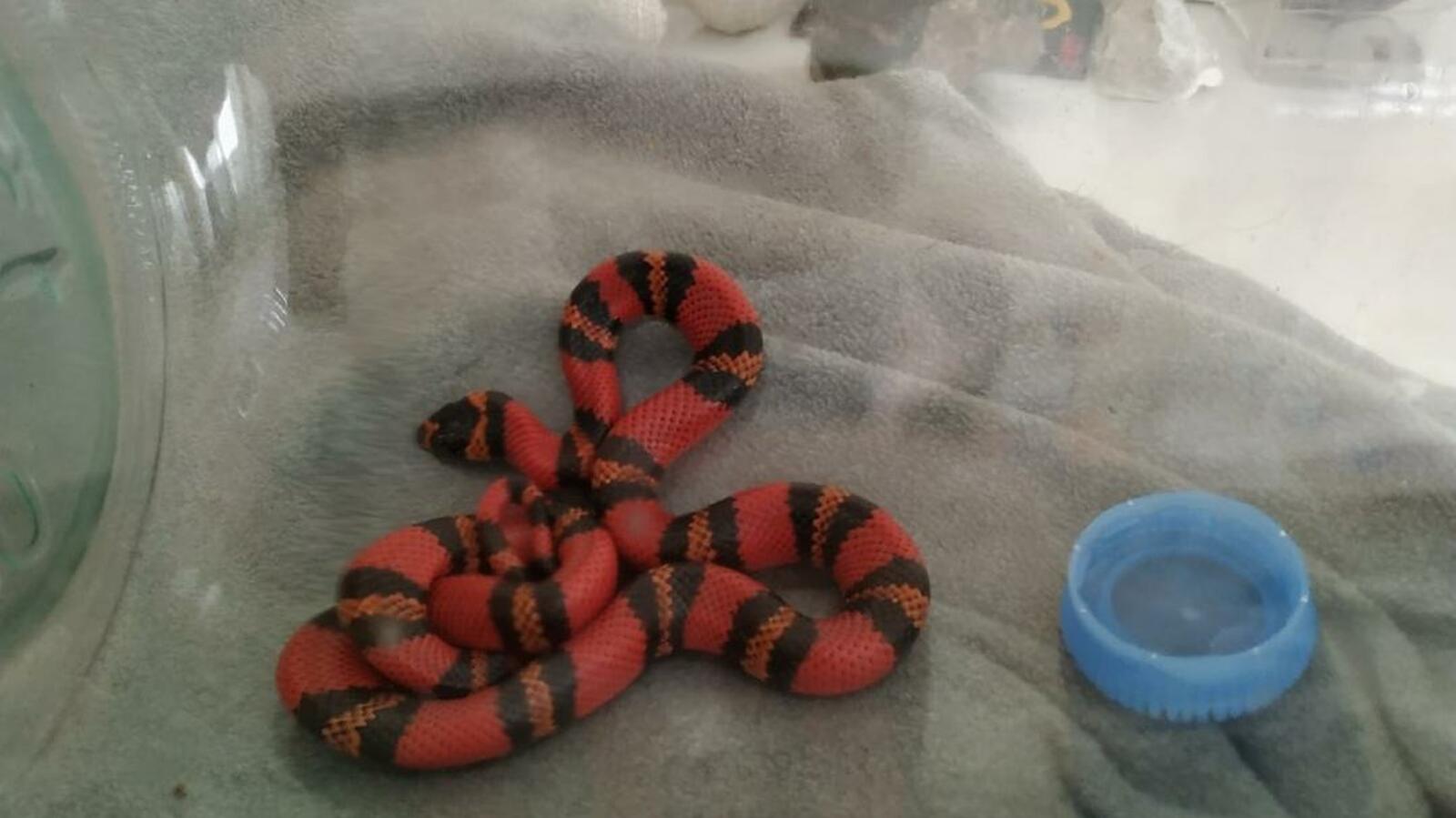 пресс-служба УГЗ по Уфе