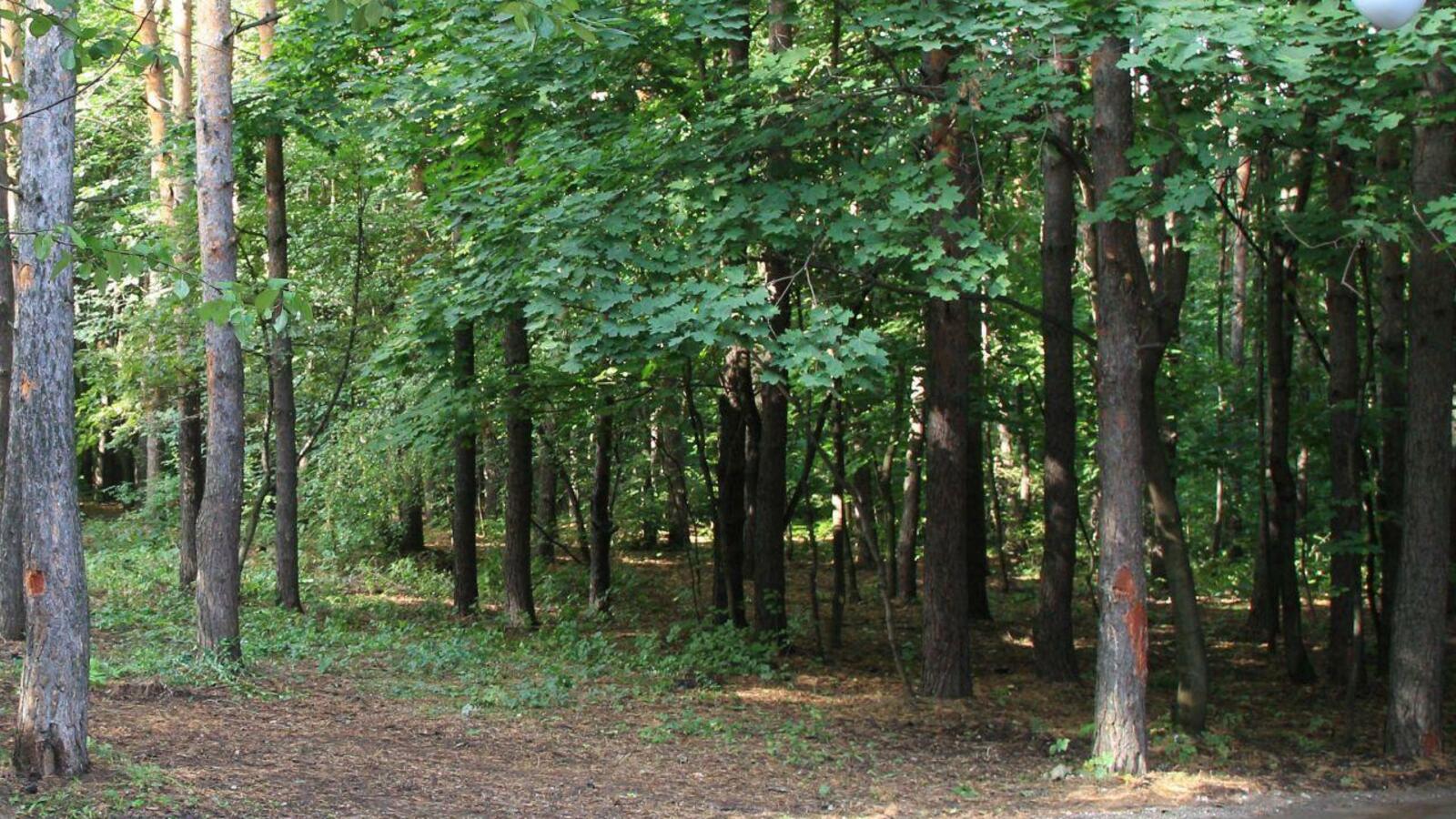 ИА «Башинформ»