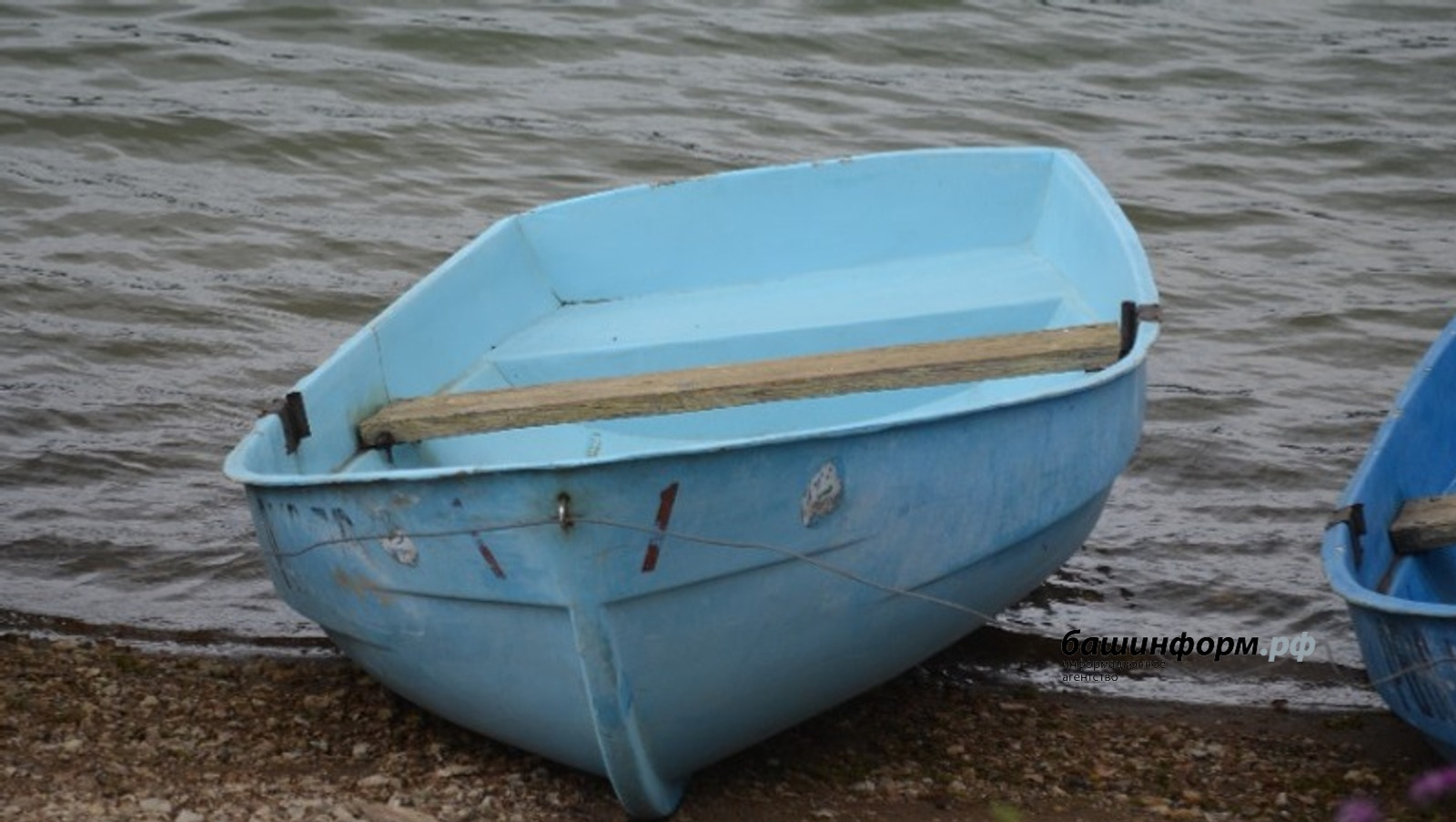 Ксения Калинина | «Башинформ» мәғлүмәт агентлығы