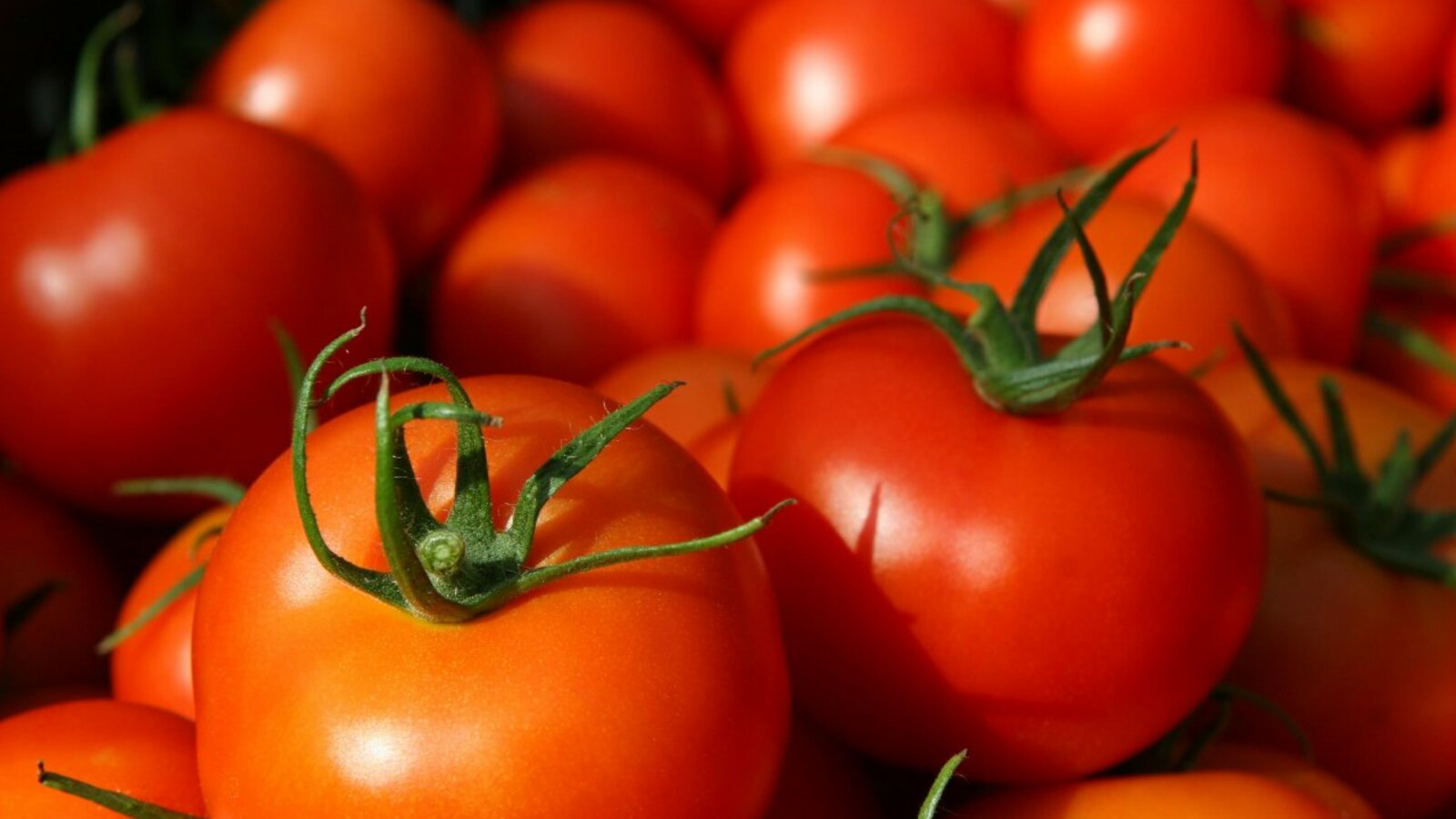 Андрей Старостин