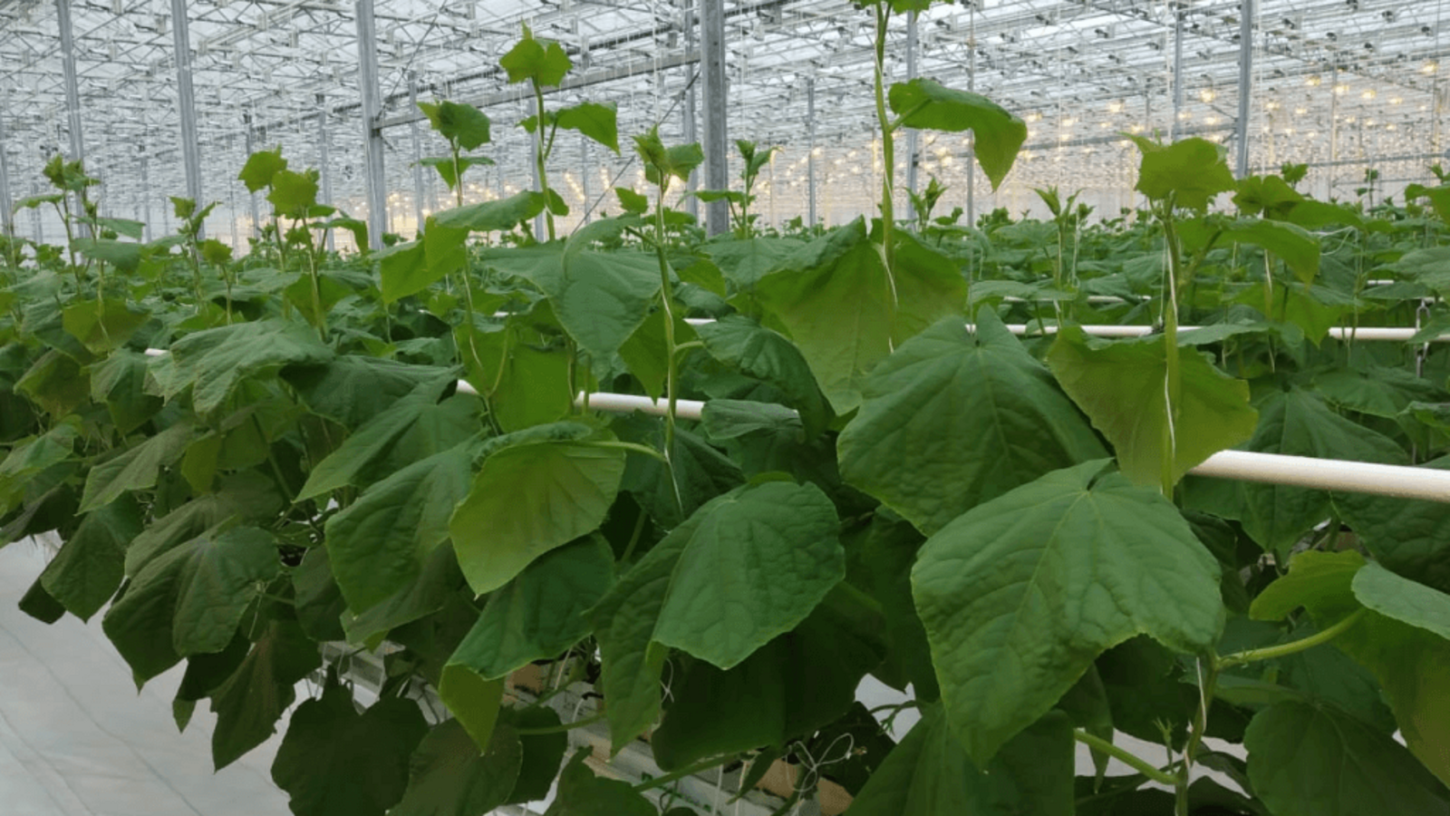 Минсельхоз РБ