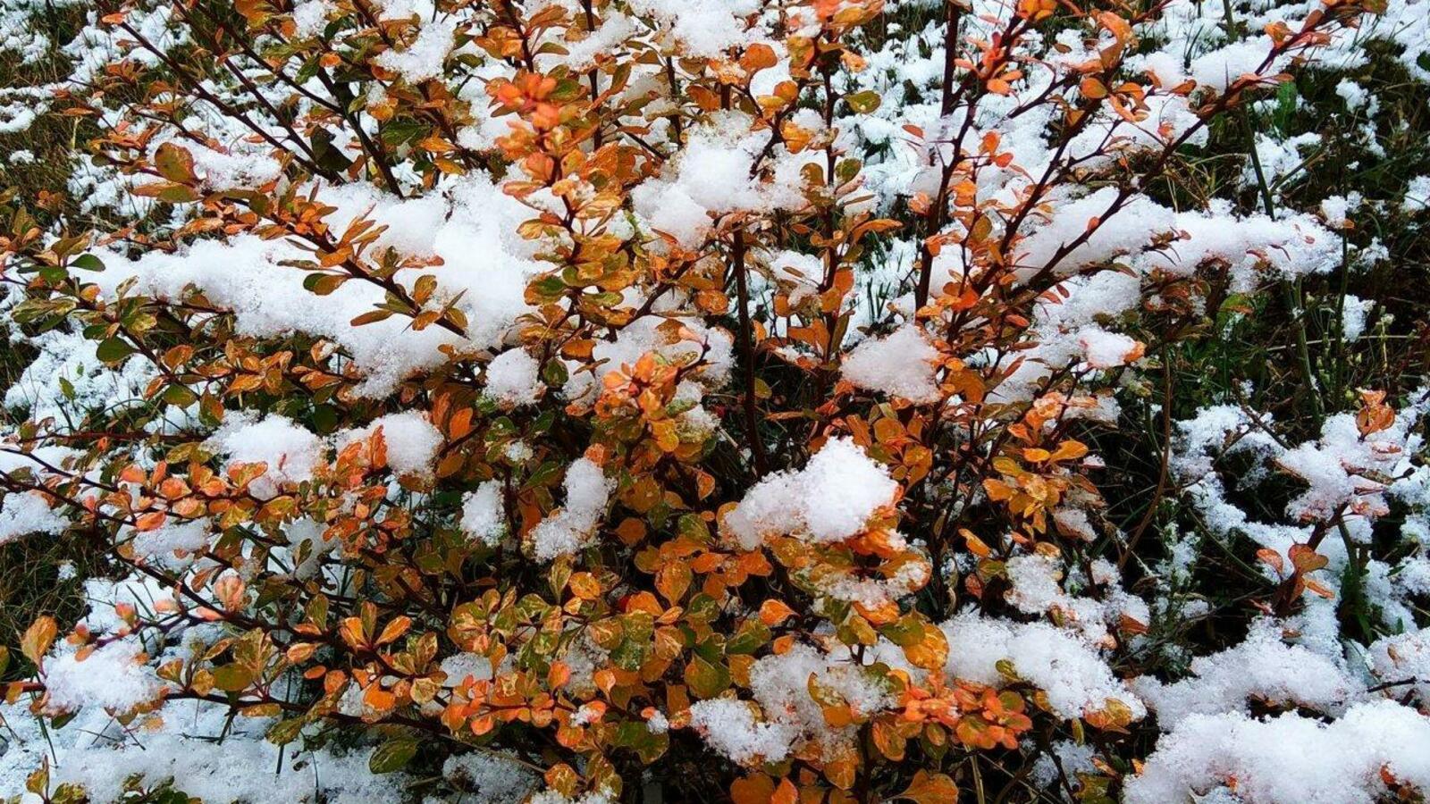 ИА «Башинформ»