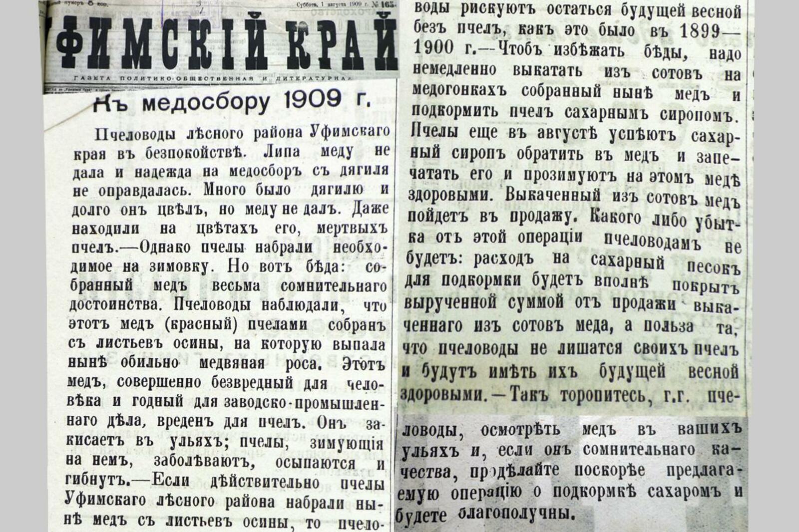 Книжная палата РБ