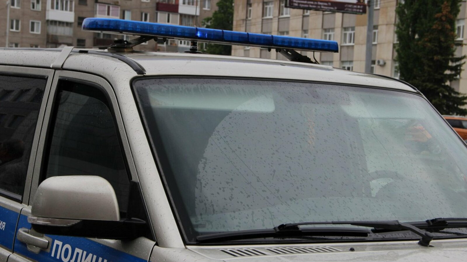 Ксения Калинина