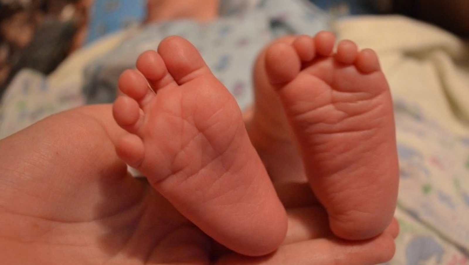 Ксения Калинина