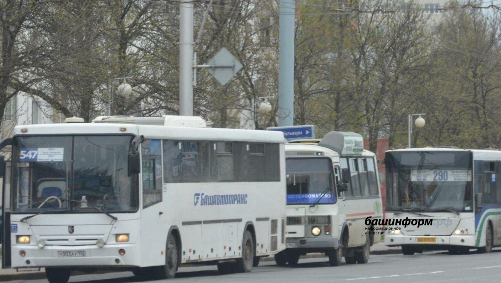 «Башинформ»  архив