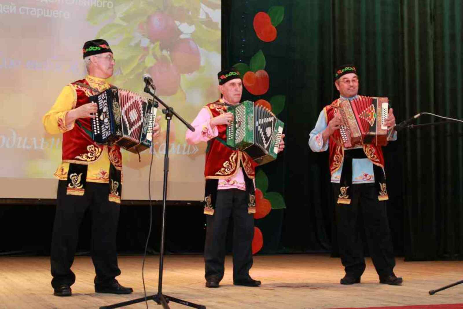 Ансамбль «Одноклассники» из Янгискаина виртуозно исполнил на гармонях разные наигрыши.