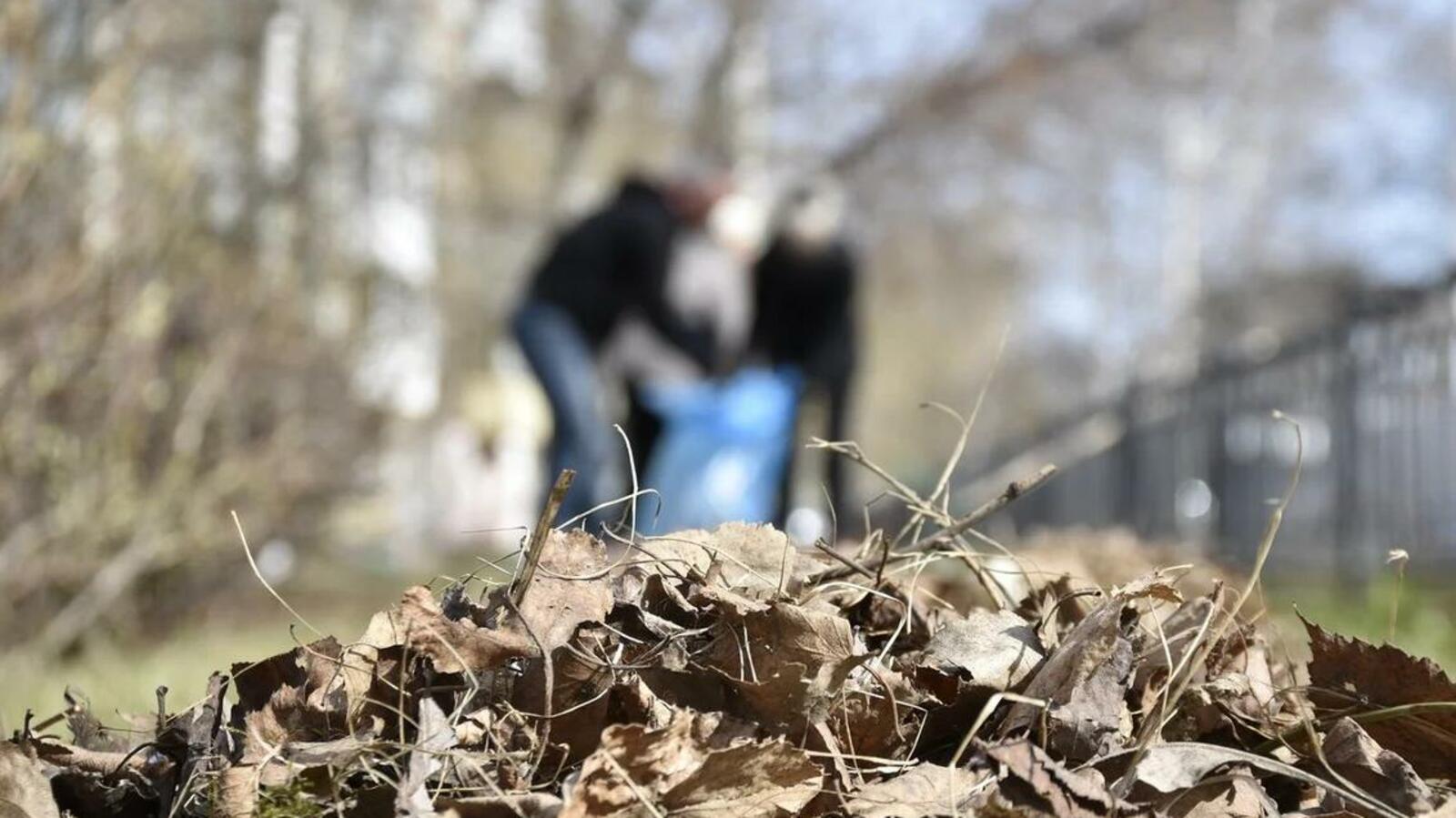 Мирон Доровских