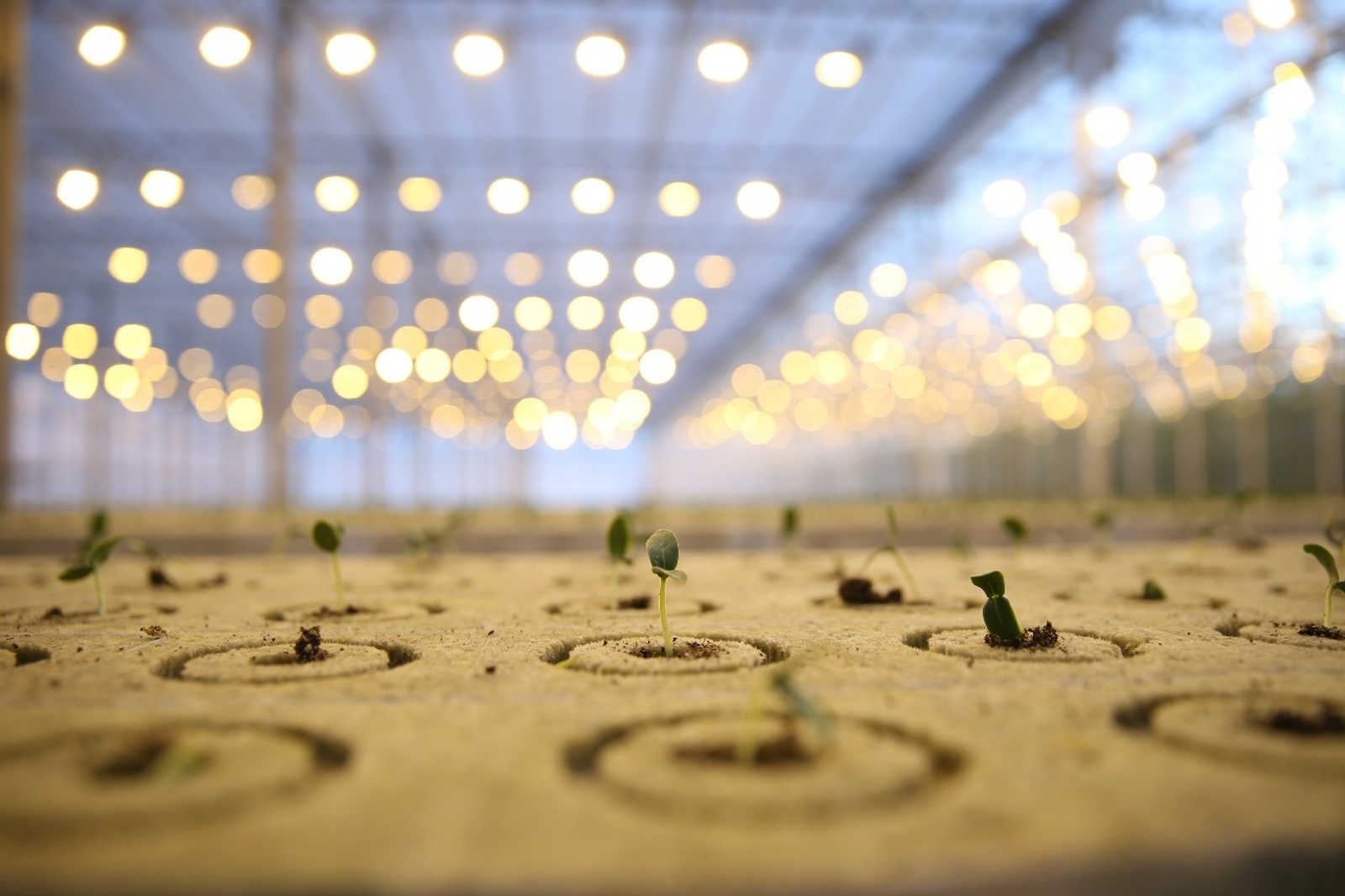 БР Башлығының Матбуғат хеҙмәте