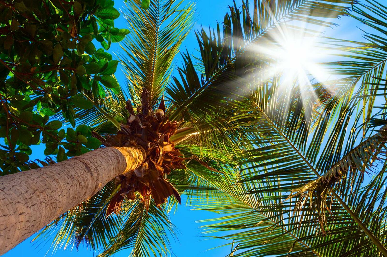 Depositphotos.com