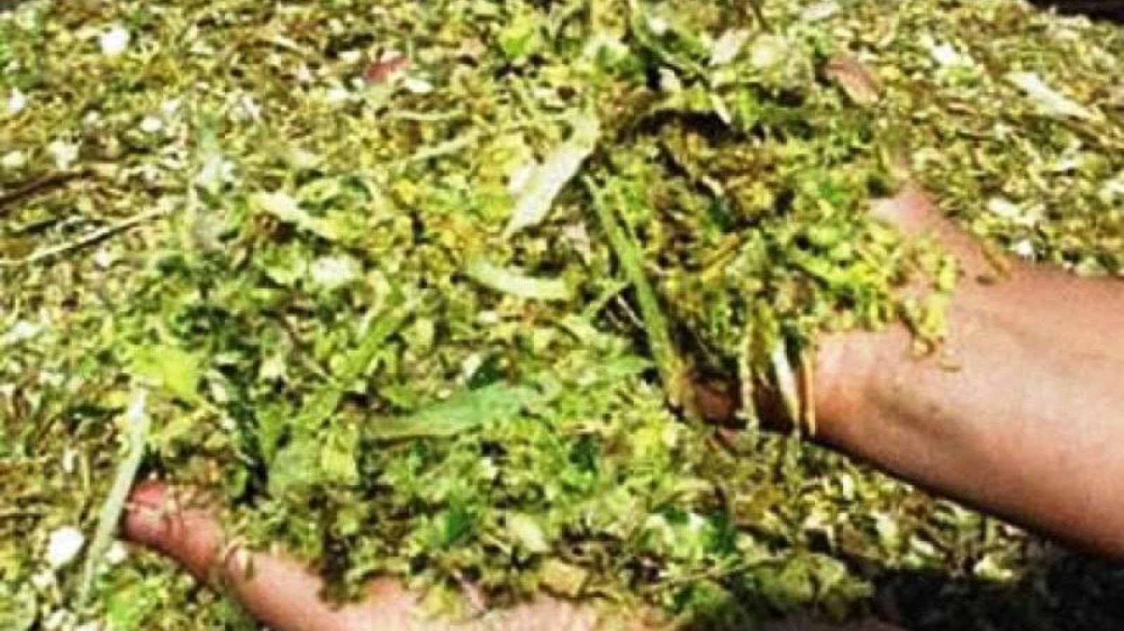 Минсельхоз РБ