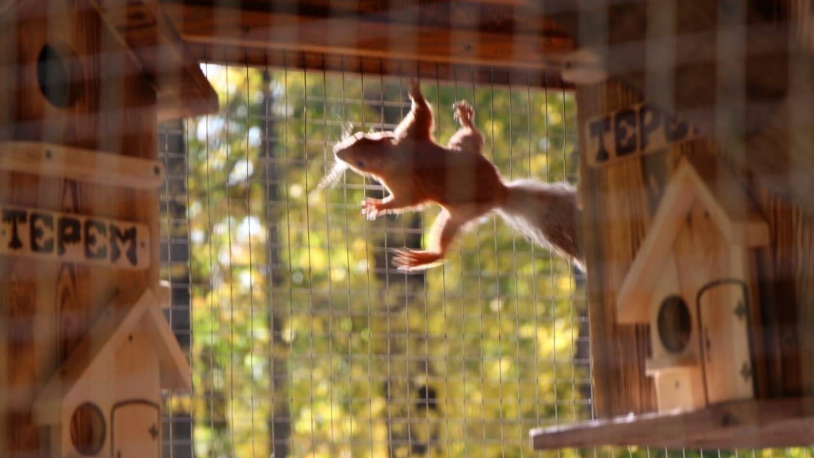 администрация г. Салавата