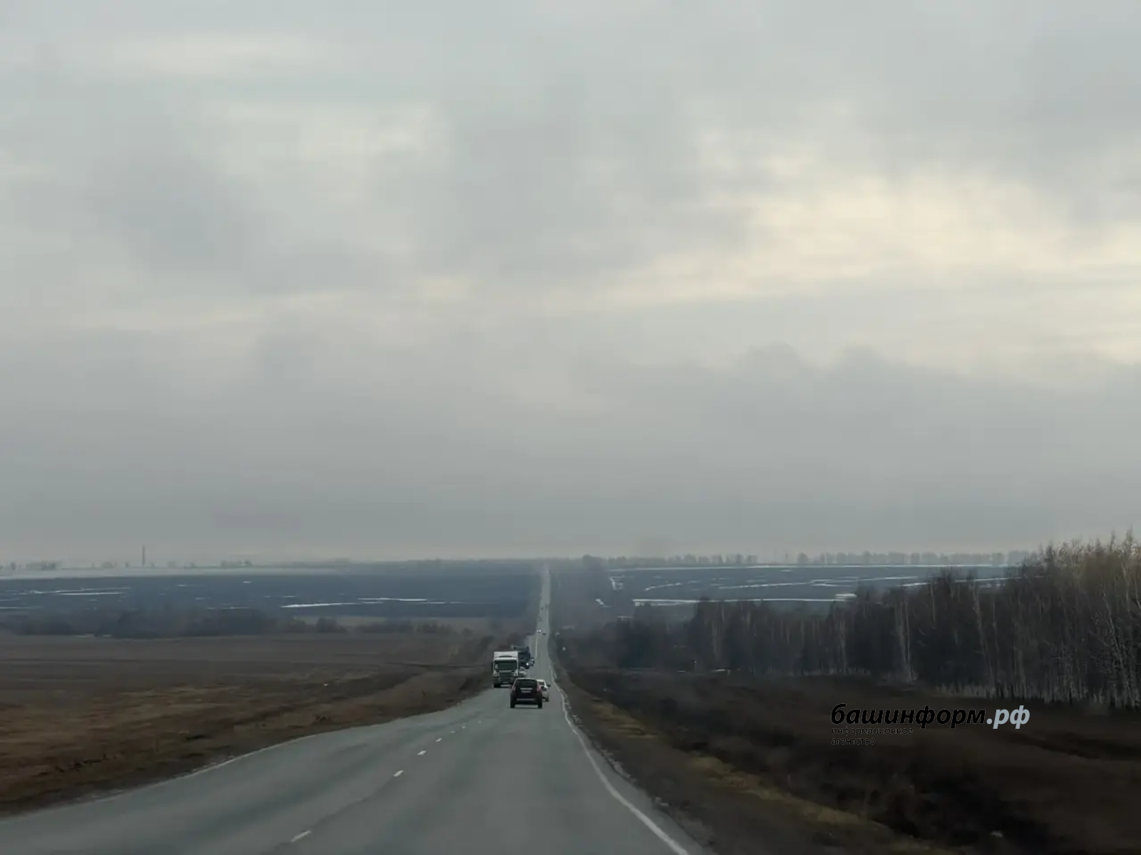 Юлия Бахшиева | «Башинформ» мәғлүмәт агентлығы архивы