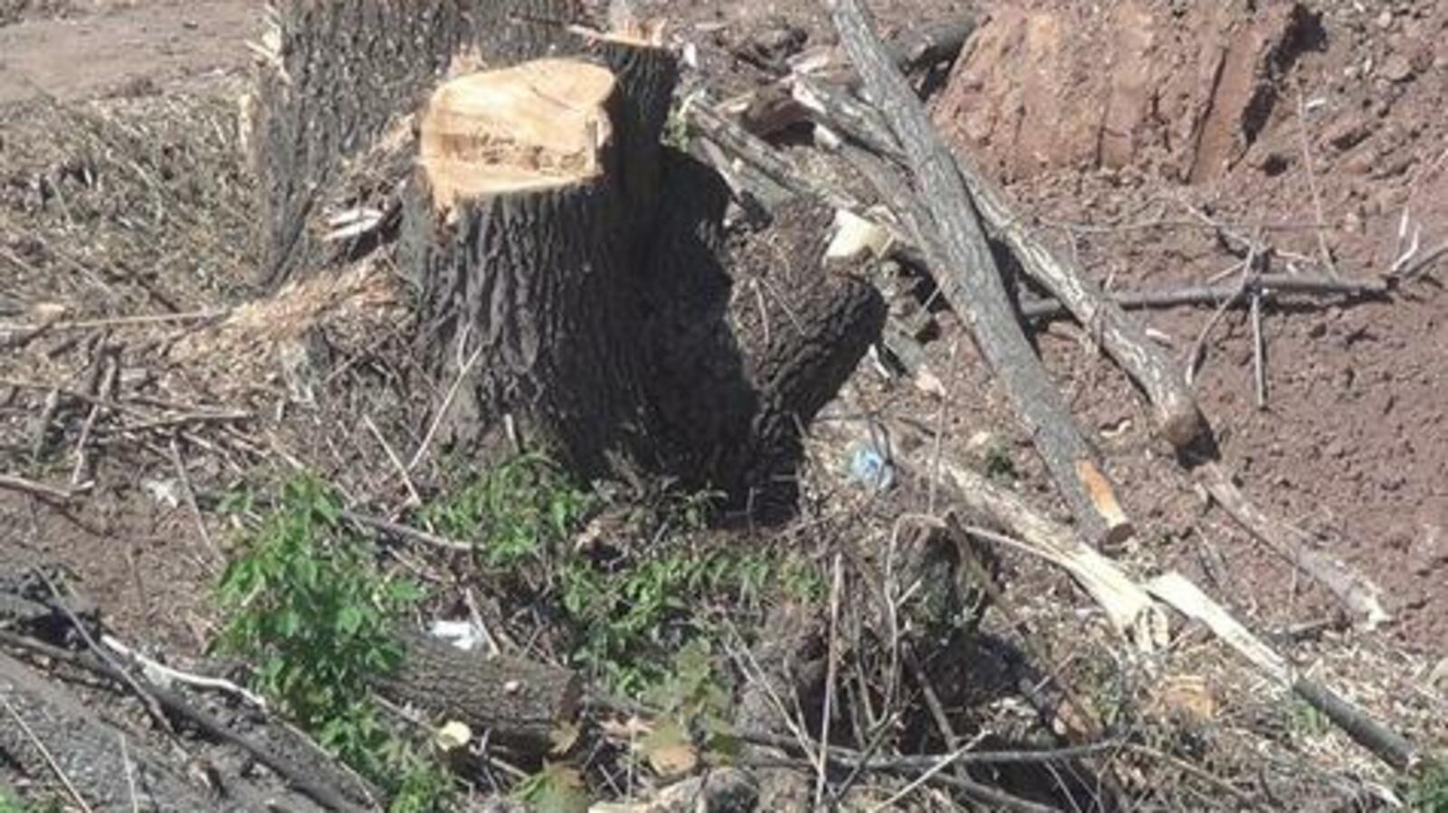 ИА  «Башинформ»