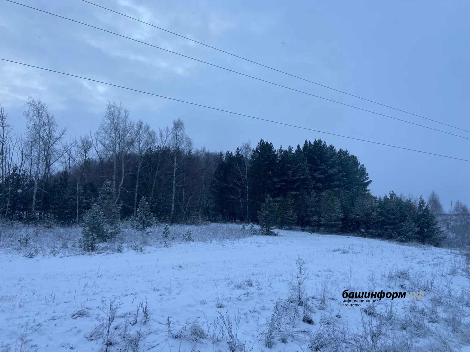 Галина Бахшиева ИА «Башинформ»