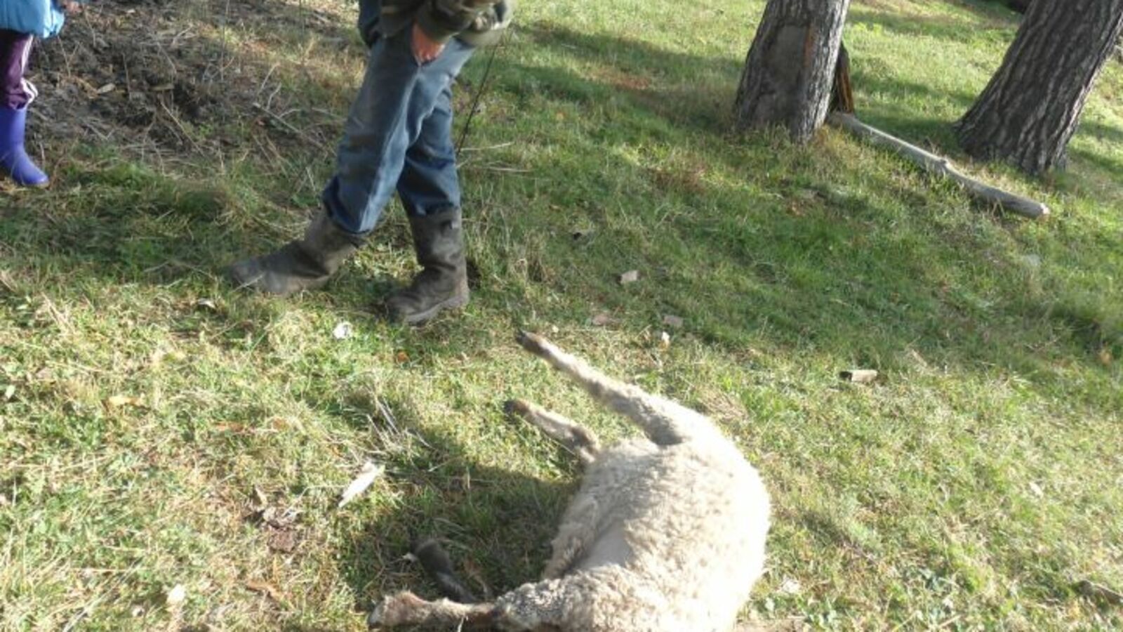 пресс-служба Башкирского заповедника