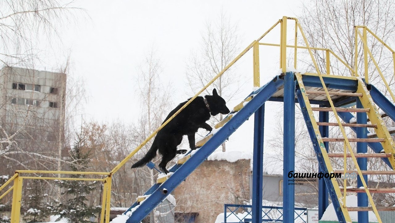 Валерий Шахов