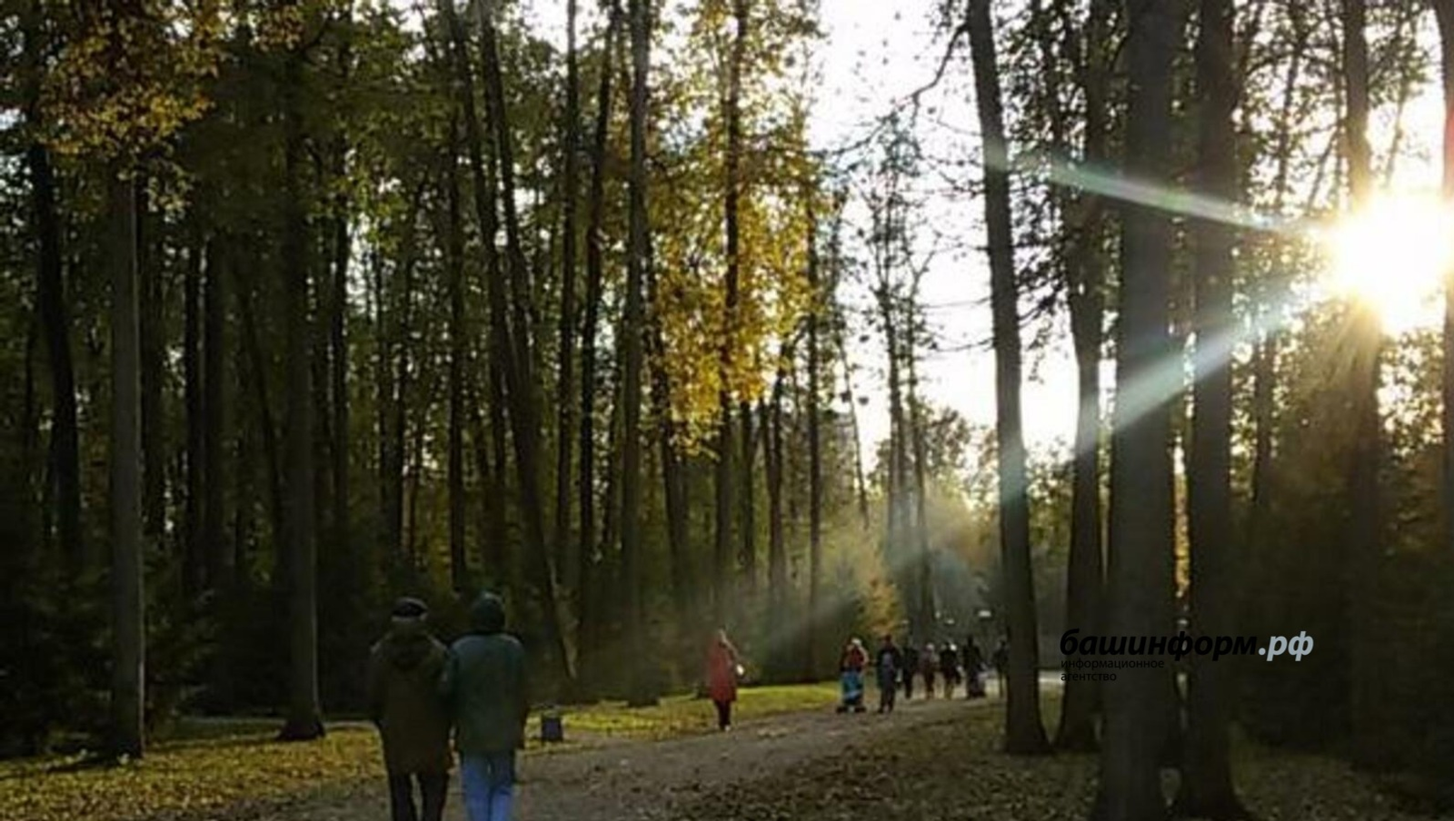 «Башинформ» мәғлүмәт агентлығы архивы