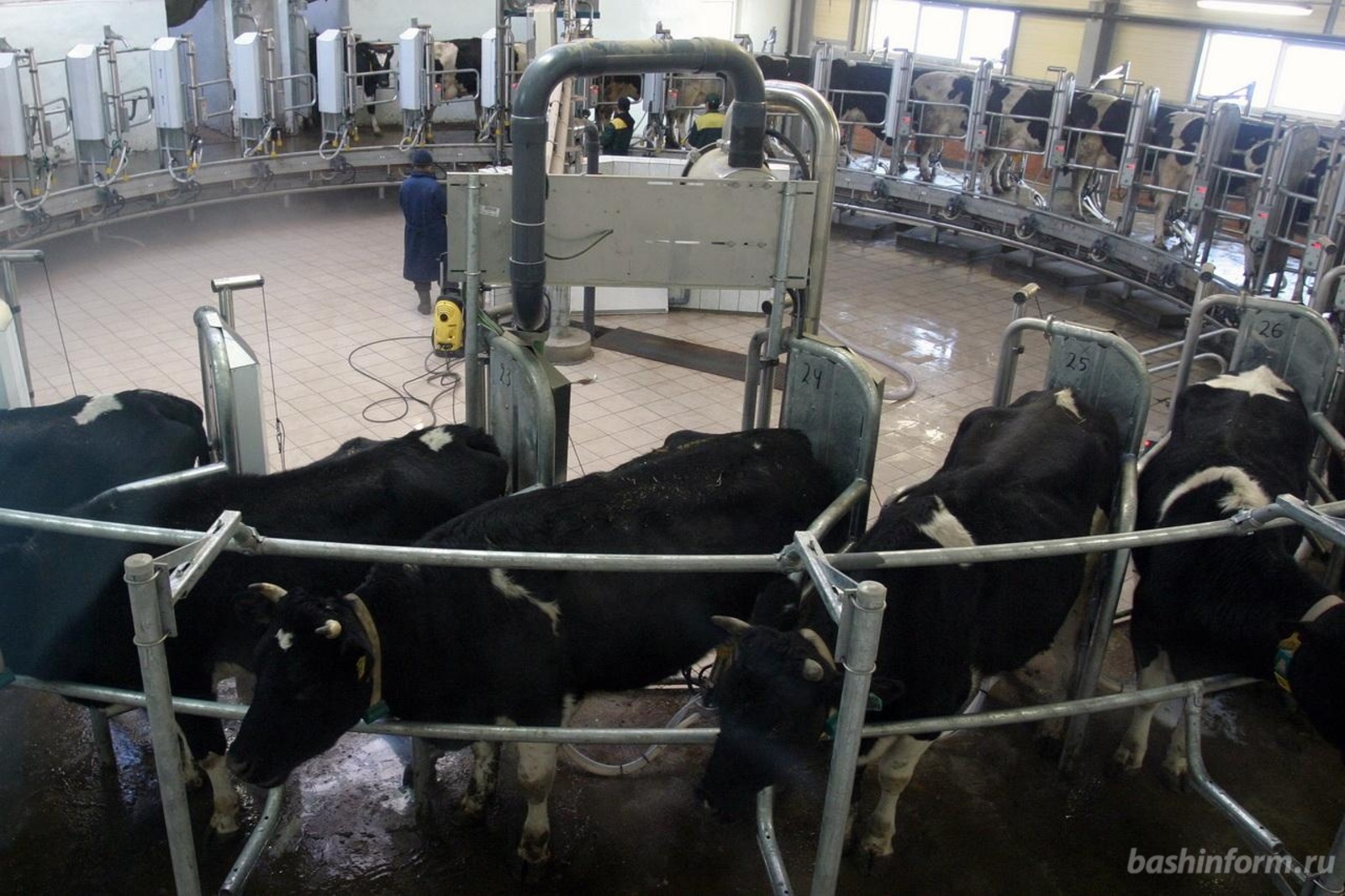 Олег Яровиков