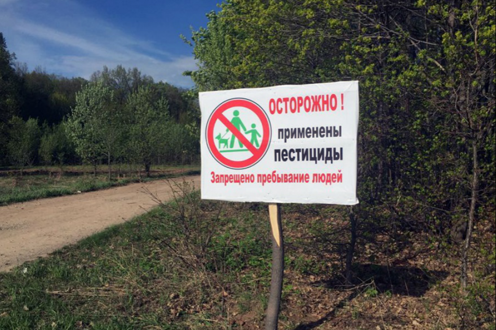 Минлесхоз РБ