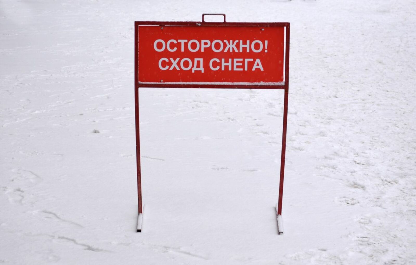 автора