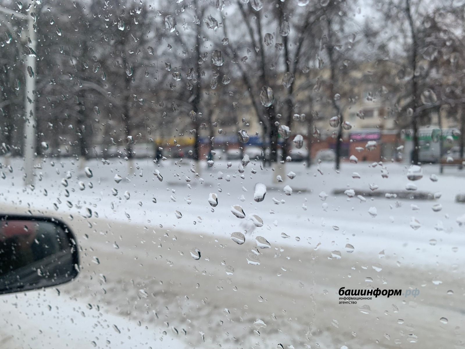 Галина Бахшиева