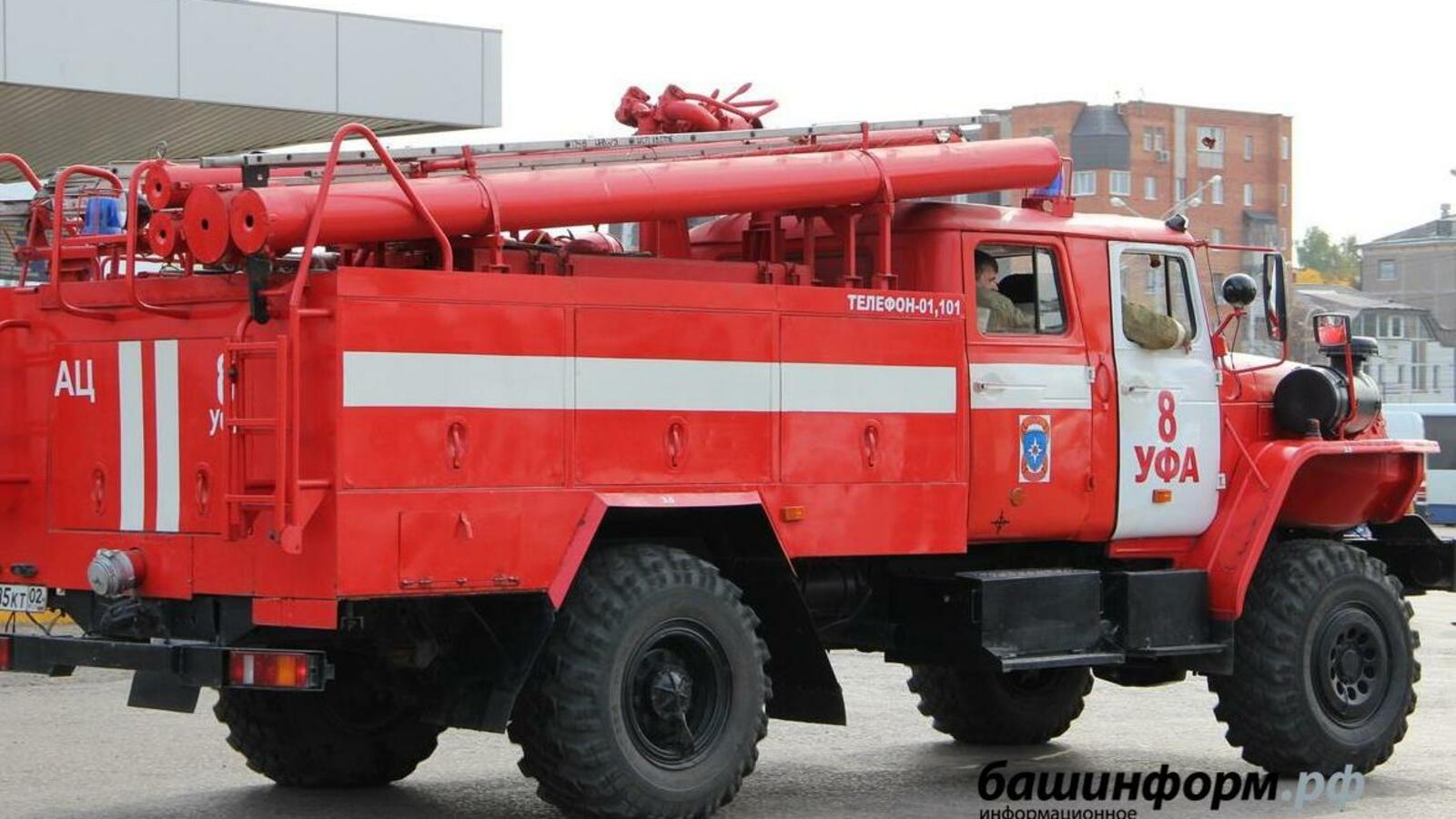 Ксения Калинина