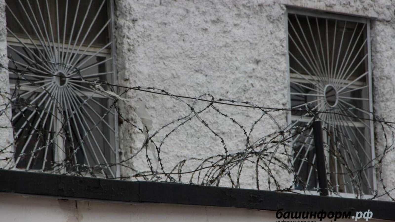 Ксения Калинина