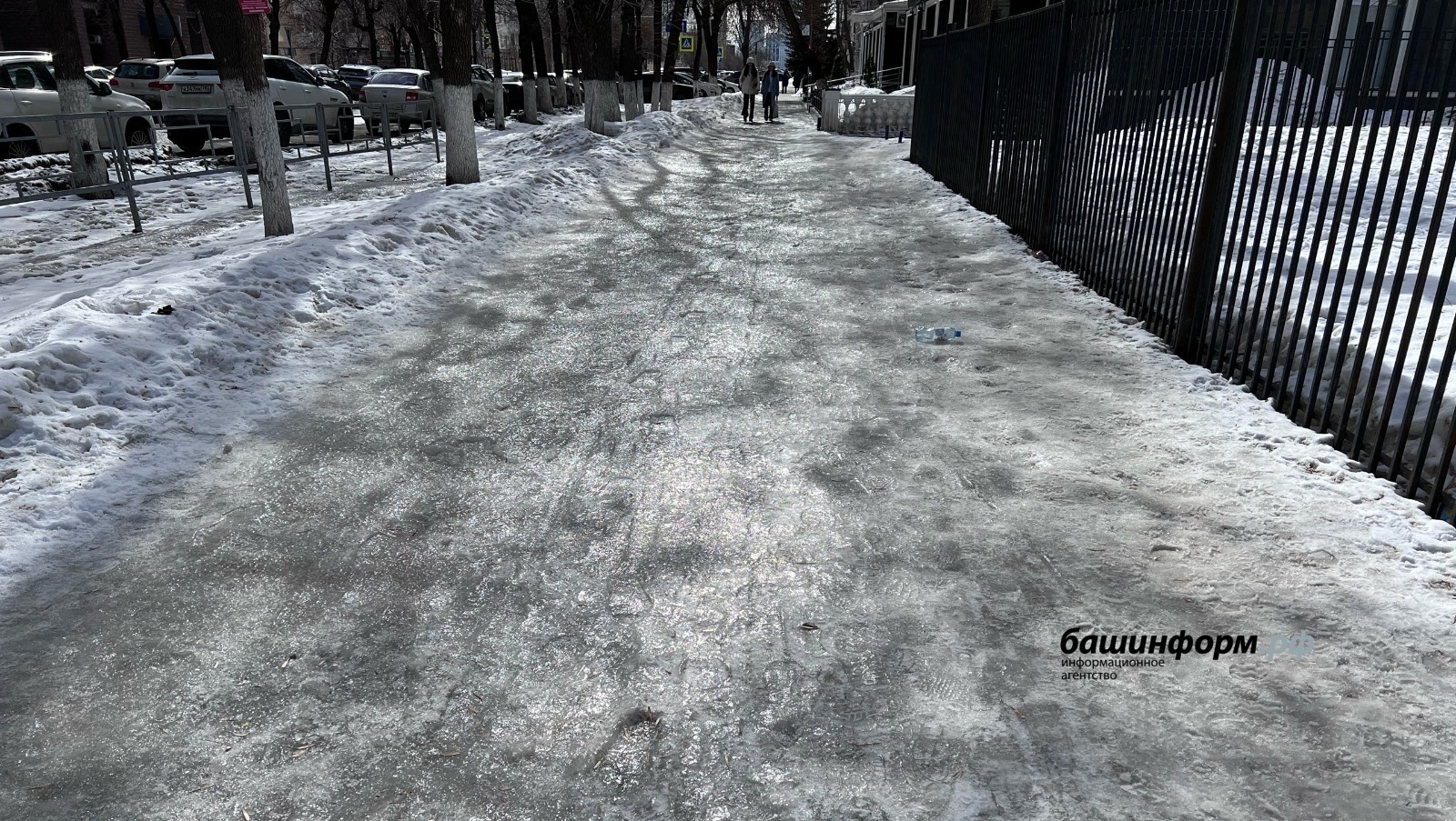 Ксения Калинина | Башинформ