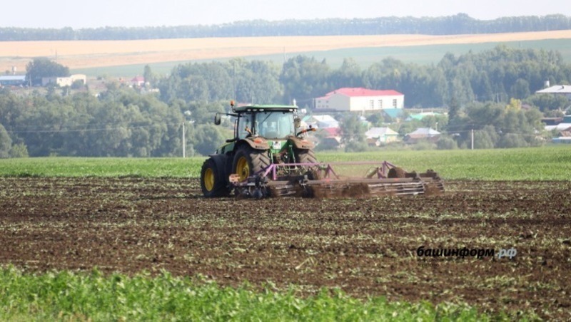 В этом году сельхозкооперативы Башкирии вновь получат грантовую поддержку