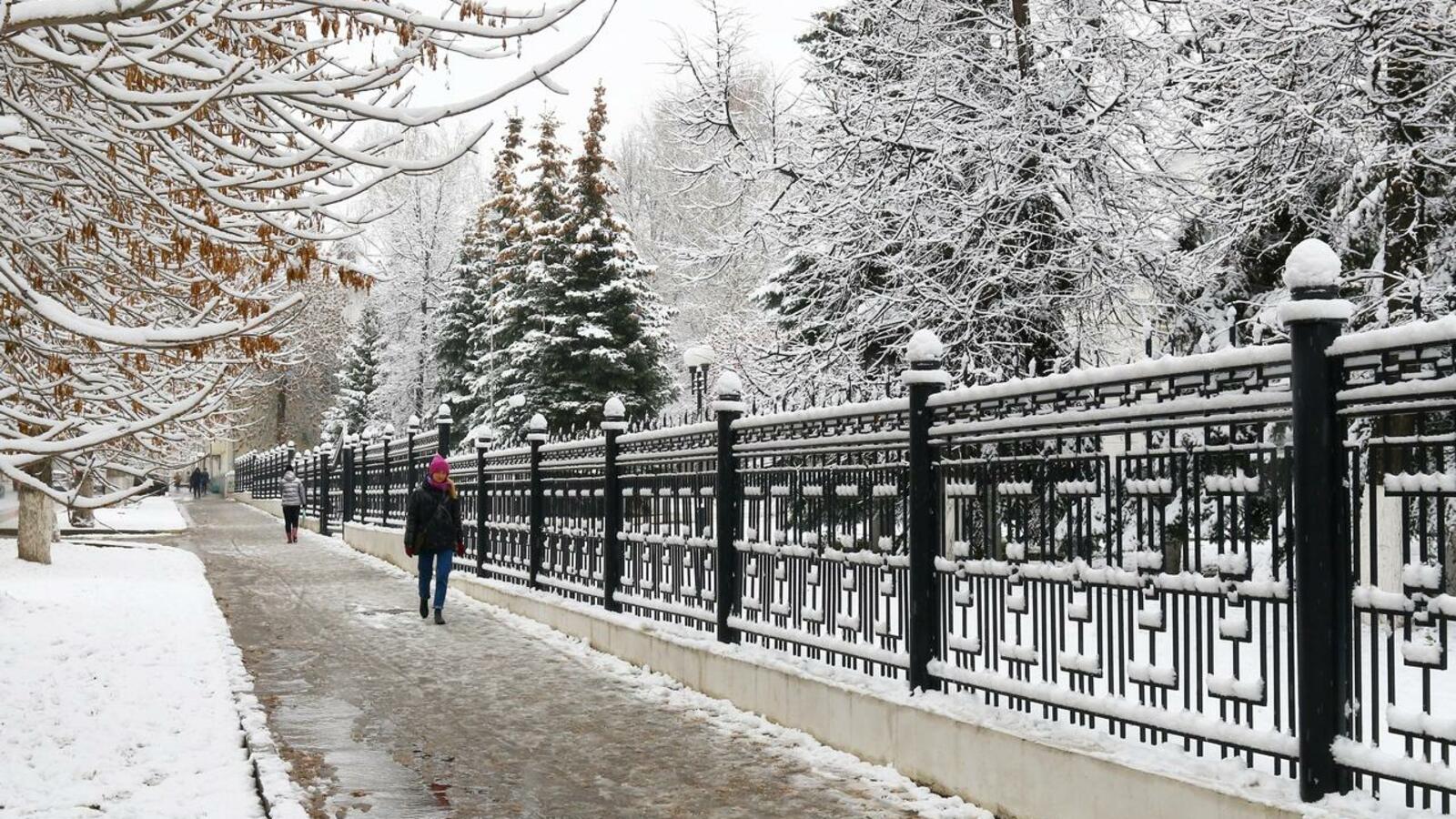 Валерий Шахов