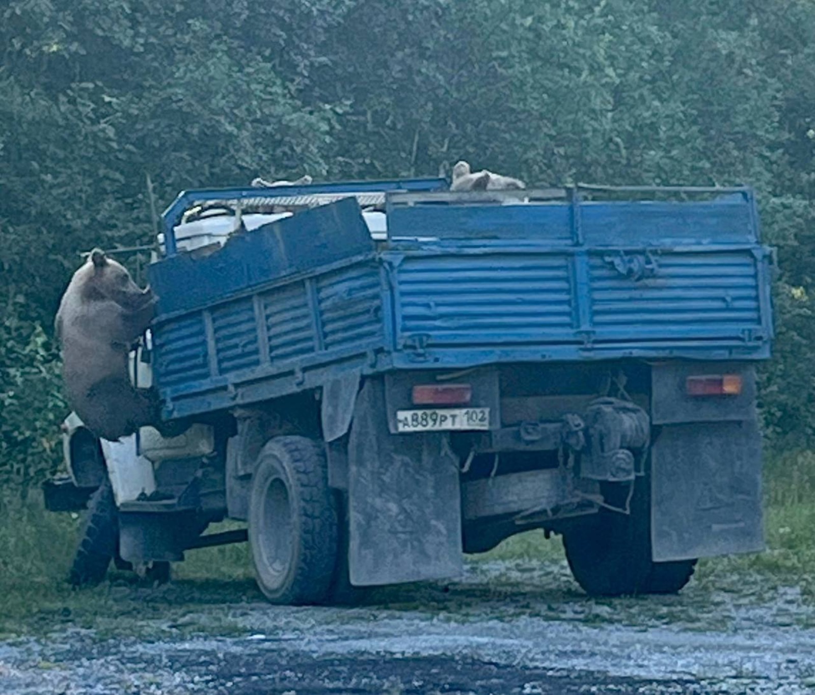 газета "Межгорье"