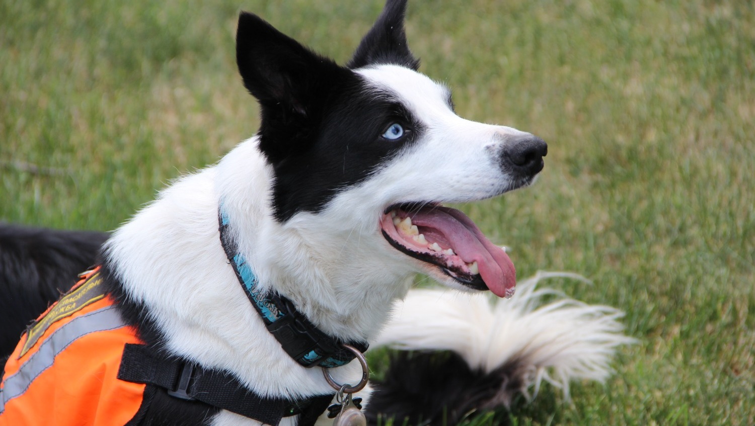 Ксения Калинина