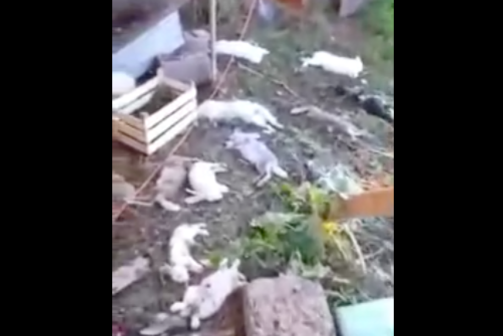 соцсети