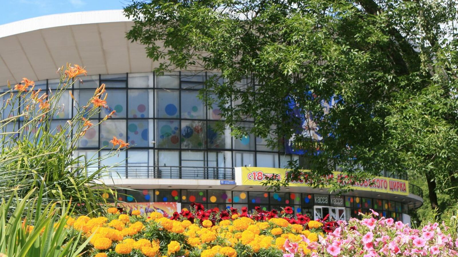 Андрей Старостин